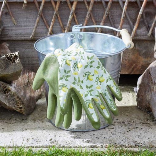 SMART GARDEN SICILIAN LEMON SEED & WEED GLOVE