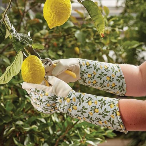 SMART GARDEN SICILIAN LEMON GAUNTLET GLOVE