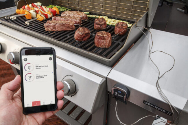 WEBER iGRILL 3 - Image 2
