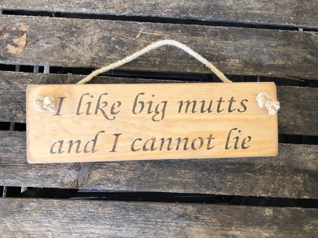 AUSTIN SLOAN SIGN I LIKE BIG MUTTS AND I CANNOT LIE