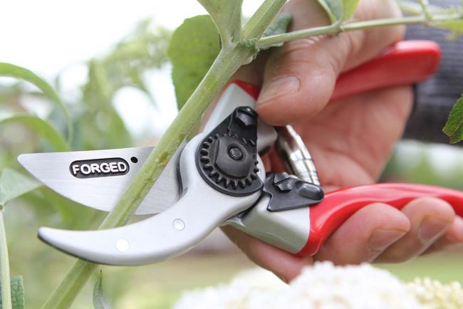 DARLAC DROP FORGED BYPASS PRUNER