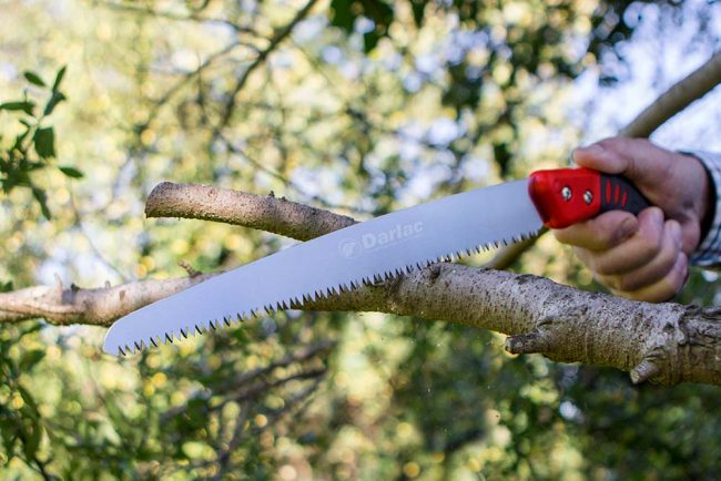 DARLAC PRUNING SAW