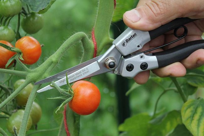 DARLAC COMPACT SNIPS