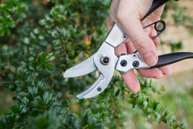 DARLAC COMPACT ANVIL PRUNER