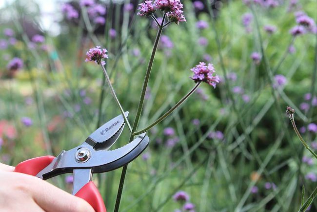DARLAC STAINLESS STEEL CUT AND HOLD PRUNER