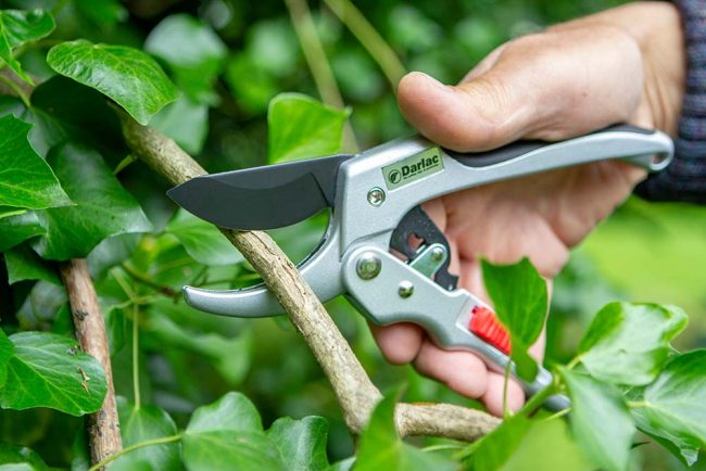 DARLAC SUPER CLASSIC RATCHET PRUNER