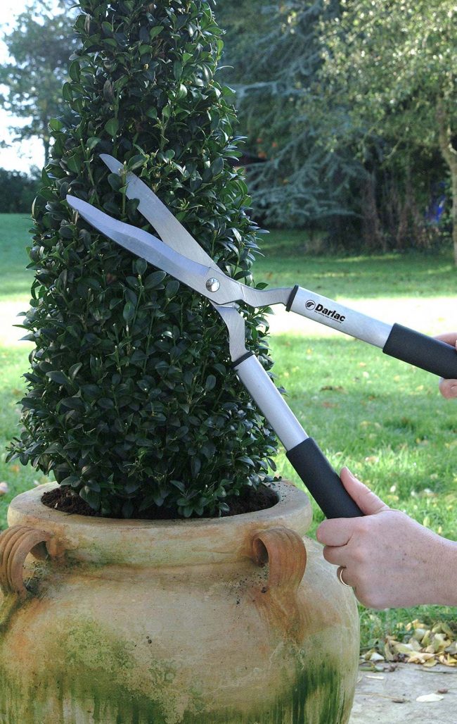 DARLAC LIGHTWEIGHT SHEAR