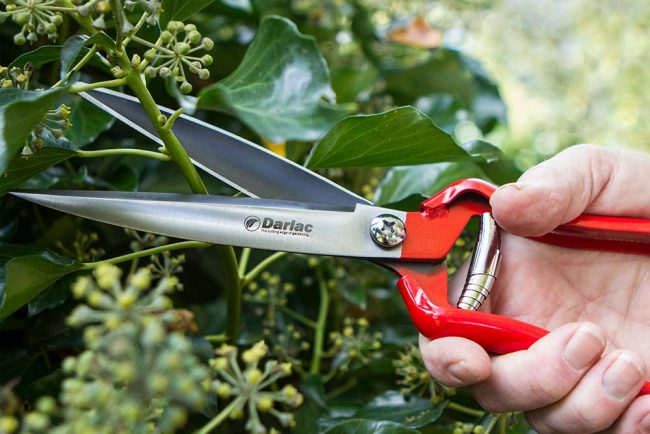 DARLAC PERRENIAL HAND SHEAR