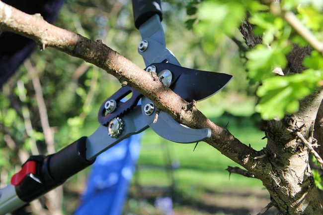 DARLAC TELESCOPIC BYPASS LOPPER