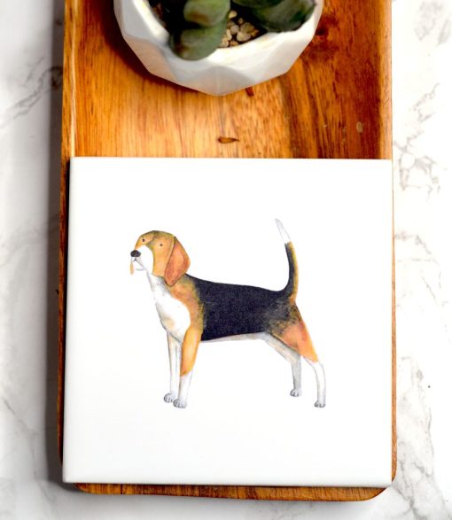 DIMBLEBY CERAMICS BEAGLE COASTER