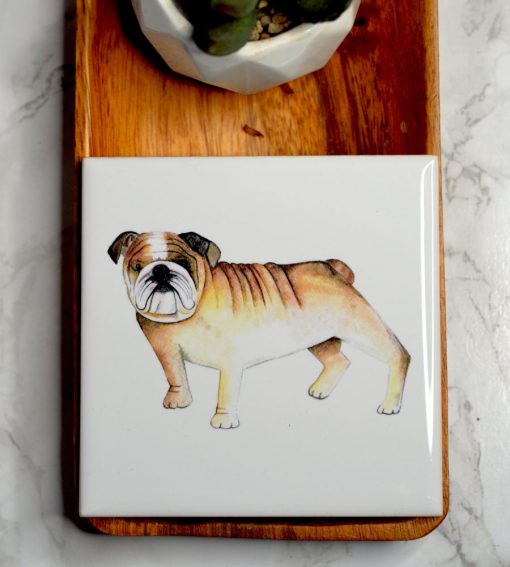 DIMBLEBY CERAMICS ENGLISH BULLDOG COASTER