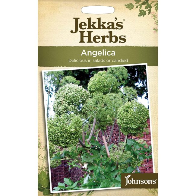JOHNSONS JEKKA - ANGELICA SEEDS