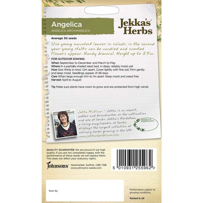 JOHNSONS JEKKA - ANGELICA SEEDS - Image 2
