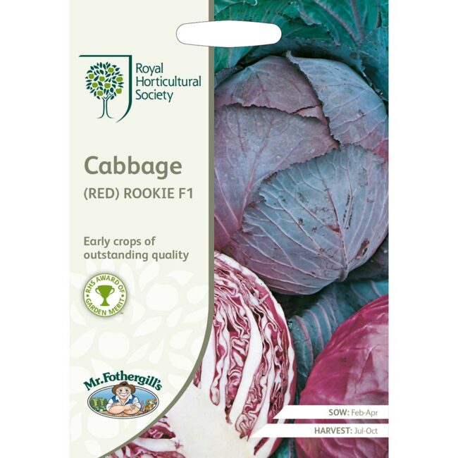 MR FOTHERGILL'S - RHS CABBAGE RED ROOKIE F1 SEEDS