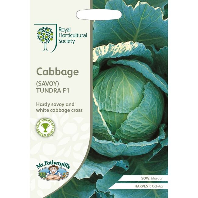 MR FOTHERGILL'S - RHS CABBAGE SAVOY TUNDRA F1 SEEDS