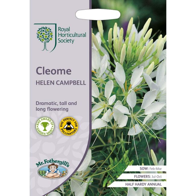 MR FOTHERGILL'S - RHS CLEOME HELEN CAMPBELL SEEDS