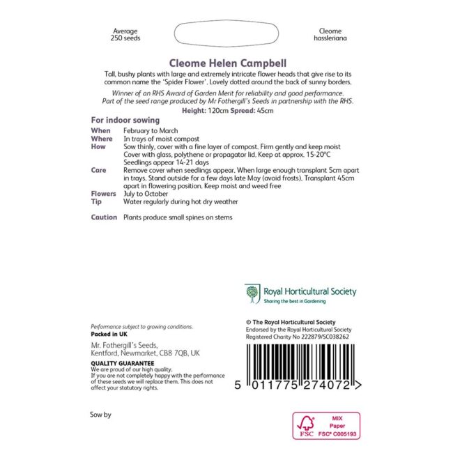 MR FOTHERGILL'S - RHS CLEOME HELEN CAMPBELL SEEDS - Image 2