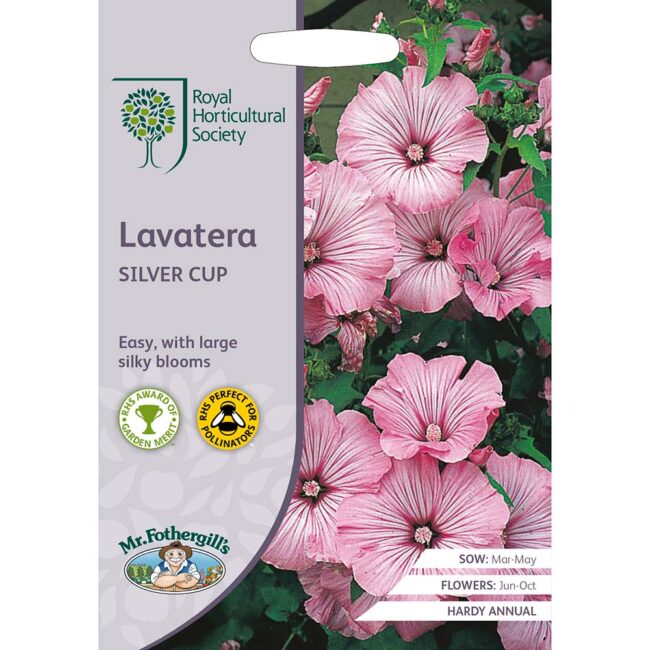 MR FOTHERGILL'S - RHS LAVATERA SILVER CUP SEEDS