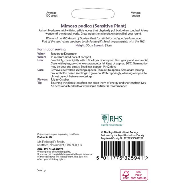 MR FOTHERGILL'S - RHS MIMOSA PUDICA SEEDS - Image 2