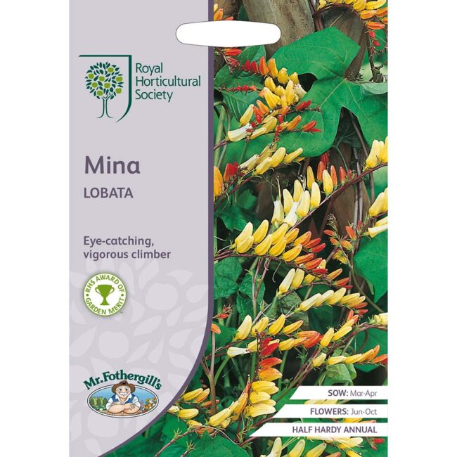MR FOTHERGILL'S - RHS MINA LOBATA SEEDS