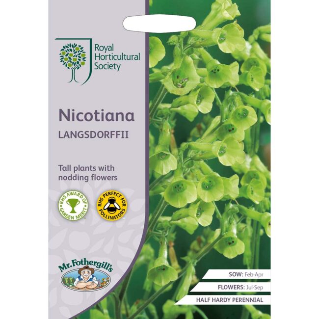 MR FOTHERGILL'S - RHS NICOTIANA LANGSDORFFII SEEDS