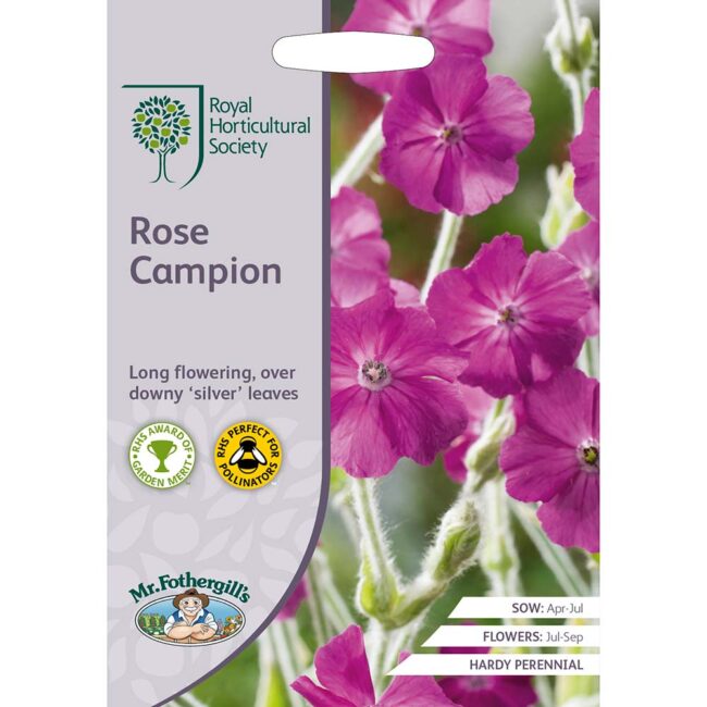 MR FOTHERGILL'S - RHS ROSE CAMPION SEEDS