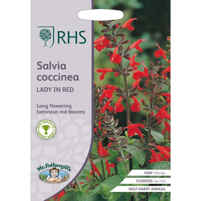 MR FOTHERGILL'S - RHS SALVIA COCCINEA LADY IN RED SEEDS