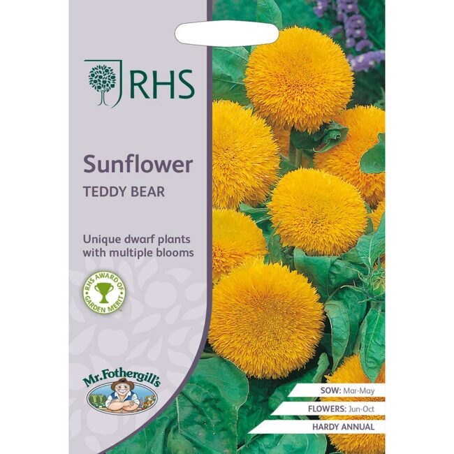 MR FOTHERGILL'S - RHS SUNFLOWER TEDDY BEAR SEEDS