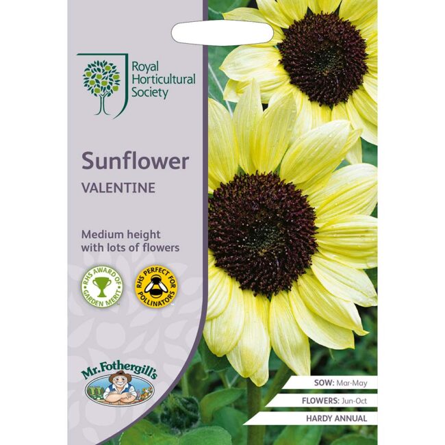 MR FOTHERGILL'S - RHS SUNFLOWER VALENTINE SEEDS