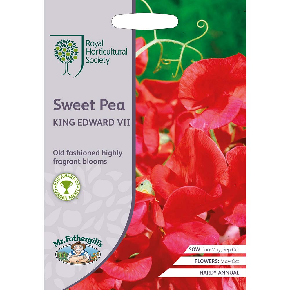 MR FOTHERGILL'S - RHS SWEET PEA KING EDWARD VII SEEDS
