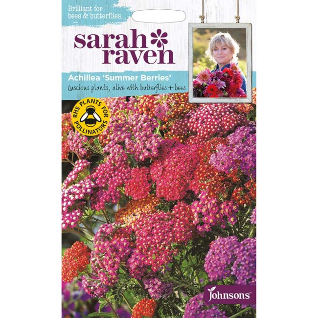 JOHNSONS SARAH RAVEN - ACHILLEA SUMMER BERRIES SEEDS