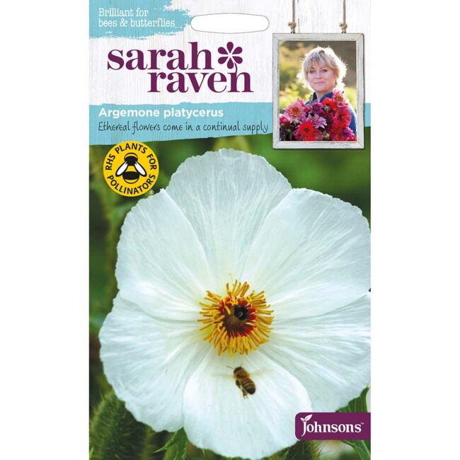 JOHNSONS SARAH RAVEN - ARGEMONE PLATYCERUS PRICK SEEDS