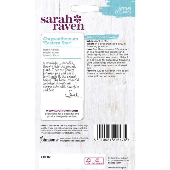 JOHNSONS SARAH RAVEN - CHRYSANTHEMUM EASTERN STAR SEEDS - Image 2