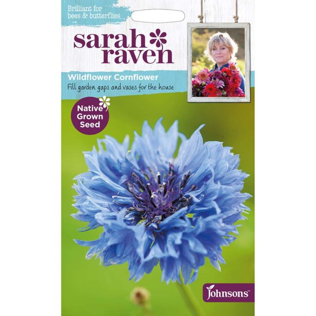 JOHNSONS SARAH RAVEN - CORNFLOWER SEEDS