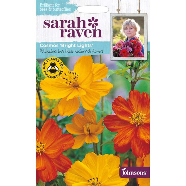 JOHNSONS SARAH RAVEN - COSMOS BRIGHT LIGHTS SEEDS