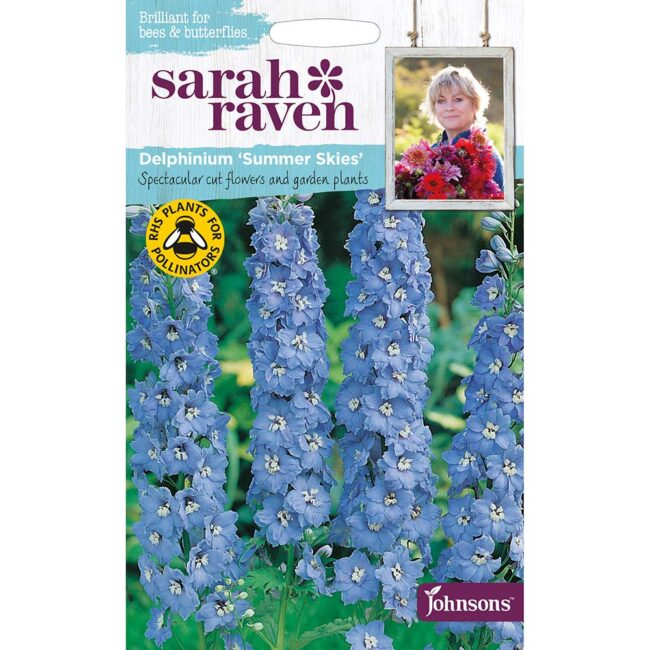 JOHNSONS SARAH RAVEN - DELPHINIUM SUMMER SKIES SEEDS