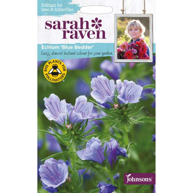 JOHNSONS SARAH RAVEN - ECHIUM BLUE BEDDER SEEDS