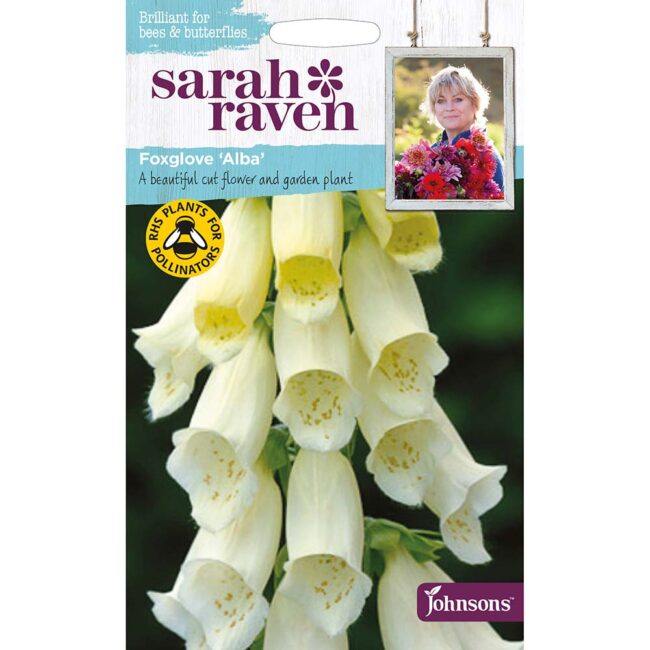 JOHNSONS SARAH RAVEN - FOXGLOVE ALBA SEEDS
