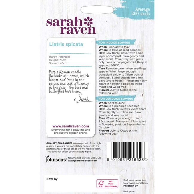 JOHNSONS SARAH RAVEN - LIATRIS SPICATA SEEDS - Image 2