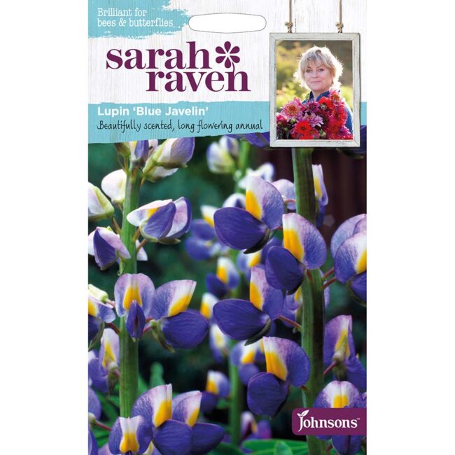 JOHNSONS SARAH RAVEN - LUPIN BLUE JAVELIN SEEDS