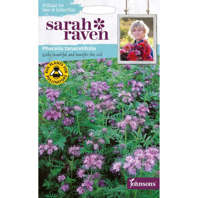 JOHNSONS SARAH RAVEN - PHACELIA TANACETIFOLIA SEEDS