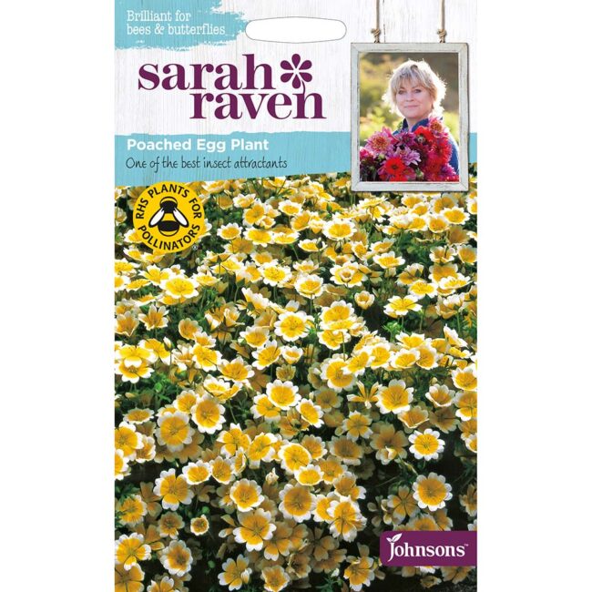 JOHNSONS SARAH RAVEN - POACHED EGG PLANT SEEDS