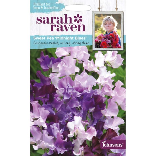 JOHNSONS SARAH RAVEN - SWEET PEA MIDNIGHT BLUES SEEDS