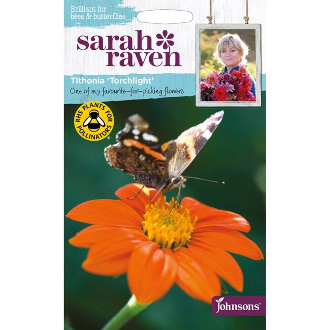 JOHNSONS SARAH RAVEN - TITHONIA TORCHLIGHT SEEDS