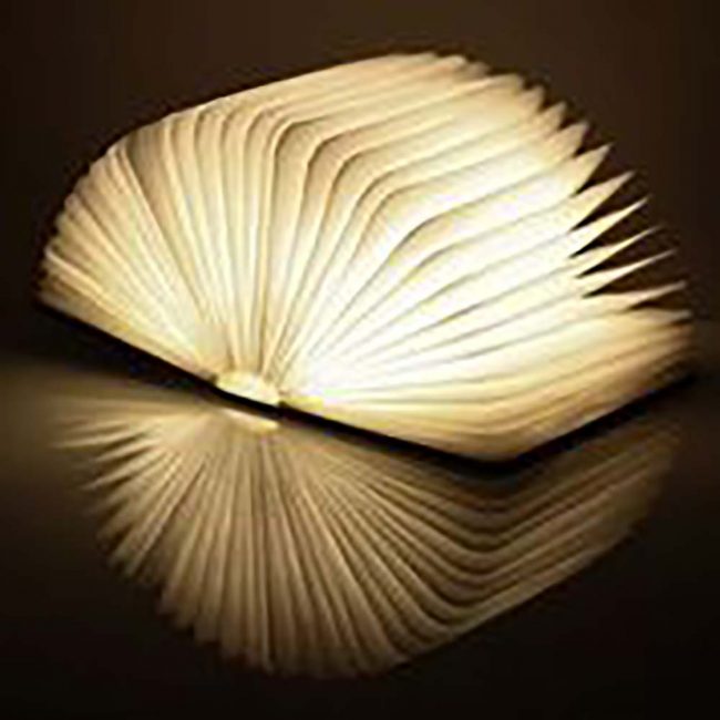 GINGKO SMART BOOK LIGHT WALNUT LARGE - Image 3
