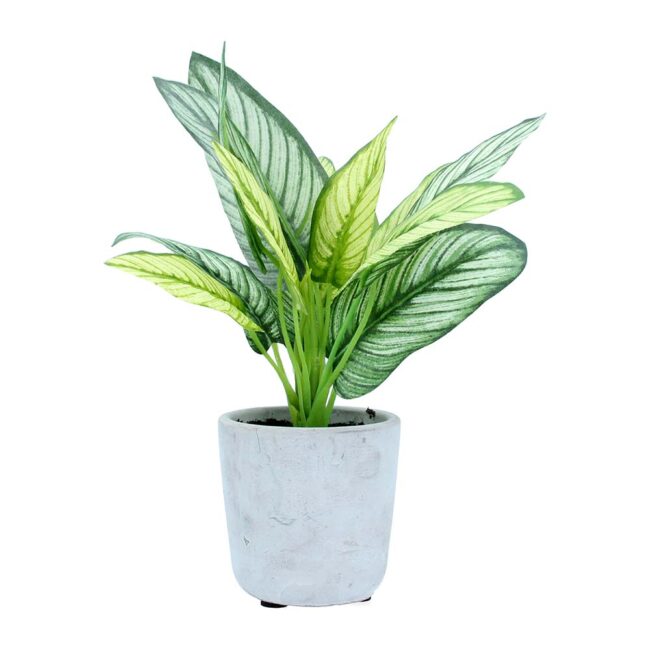 GISELA GRAHAM FAUX STROMANTHE POT