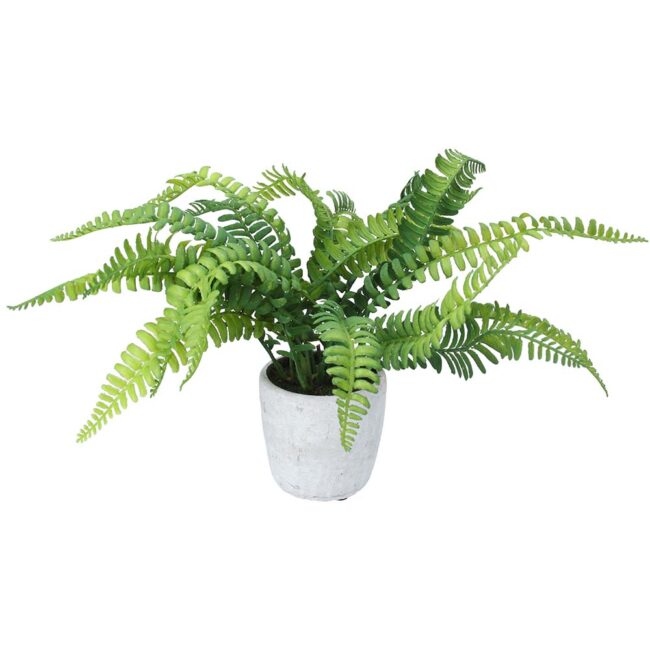 GISELA GRAHAM POT PLANT FAUX BOSTON FERN