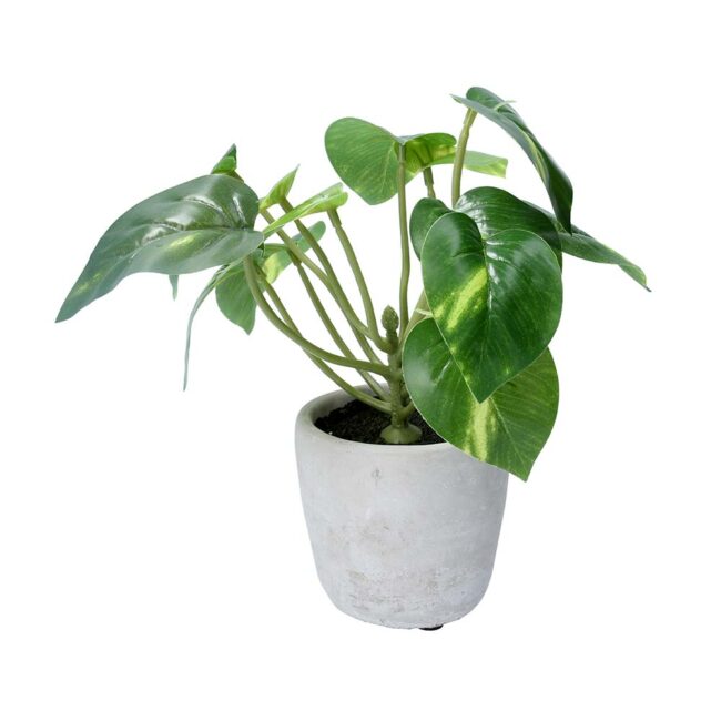 GISELA GRAHAM POT PLANT FAUX PHILODENDRON SMALL