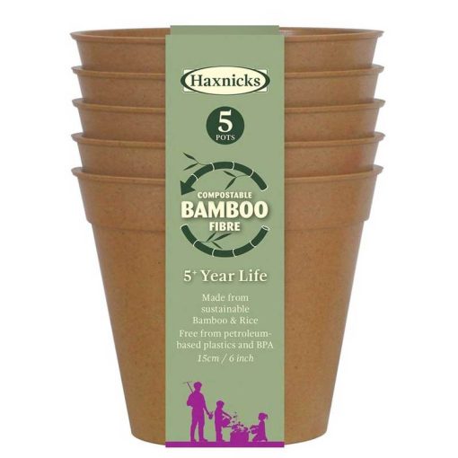 TILDENET BAMBOO POT TERRACOTTA 6 INCHES