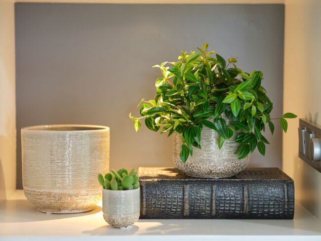 Ivyline Ivory Vasto Pot
